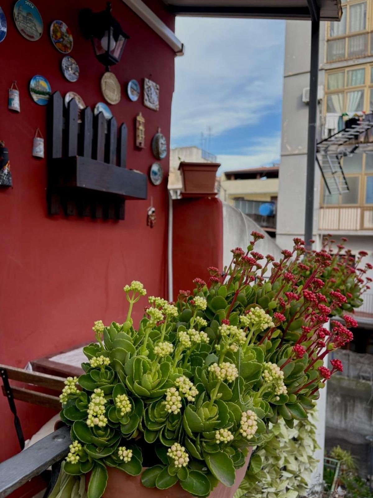 Roc House Apartment Catania Ngoại thất bức ảnh